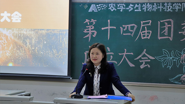 南宫28