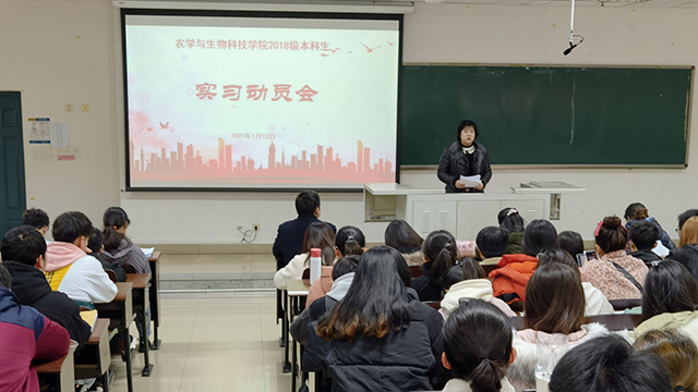 南宫28