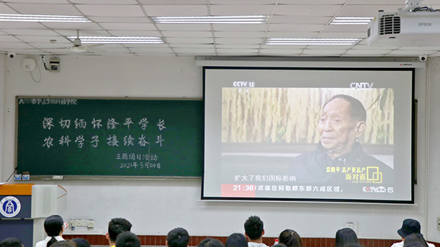 南宫28