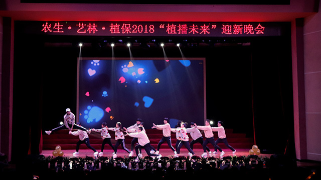 南宫28