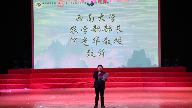 南宫28